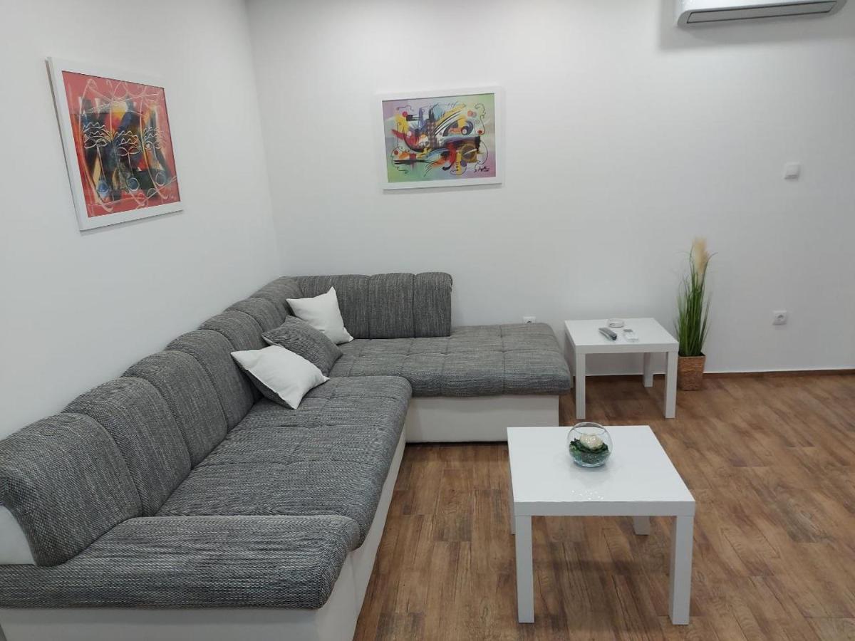 Cosy, Quiet & Brand New Apartment W/ Danube View 贝尔格莱德 外观 照片
