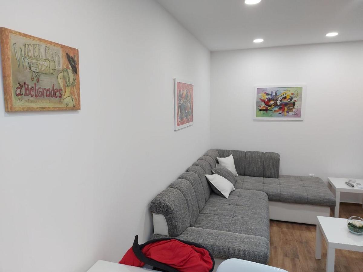 Cosy, Quiet & Brand New Apartment W/ Danube View 贝尔格莱德 外观 照片